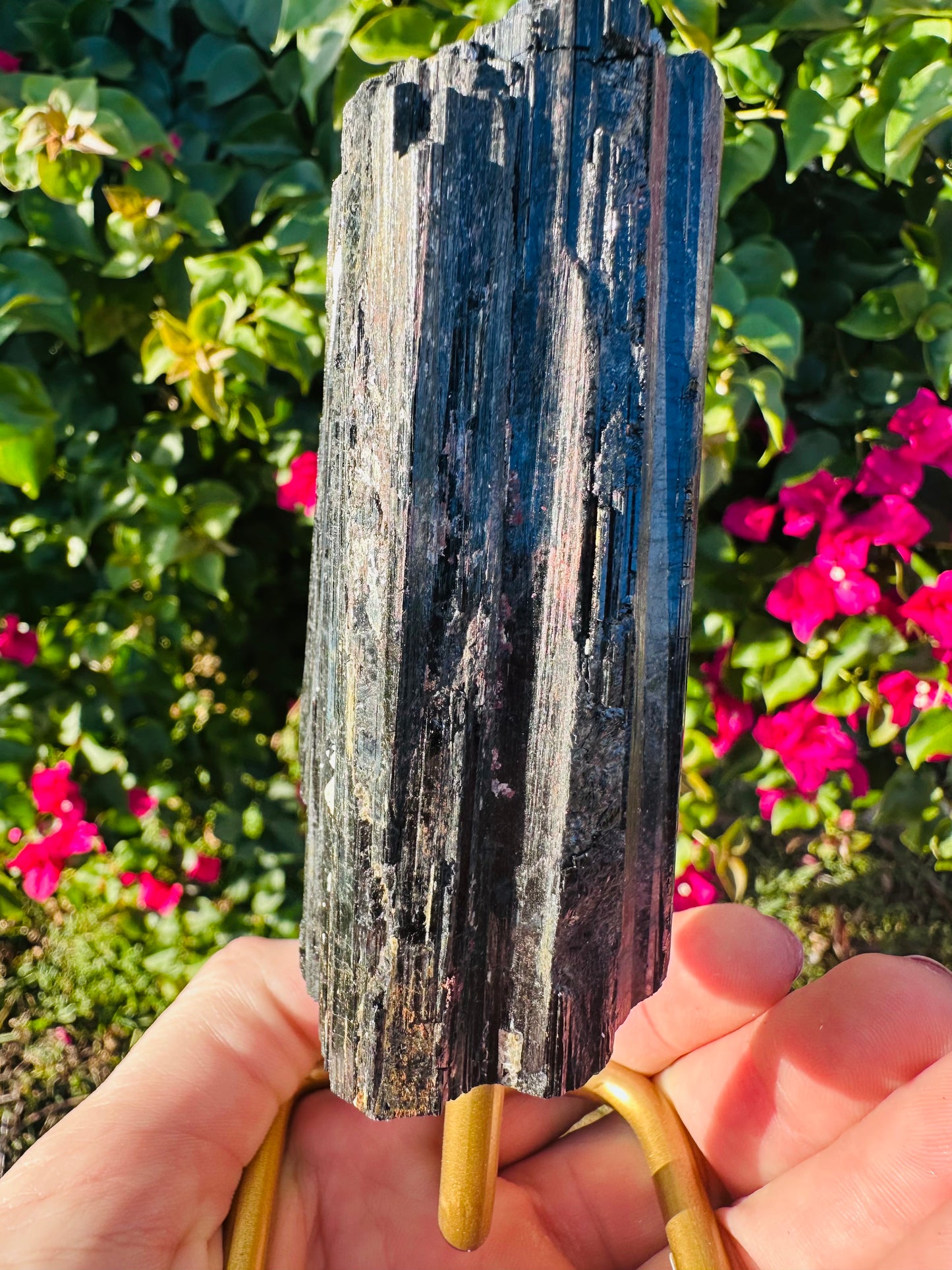 Black Tourmaline with Stand