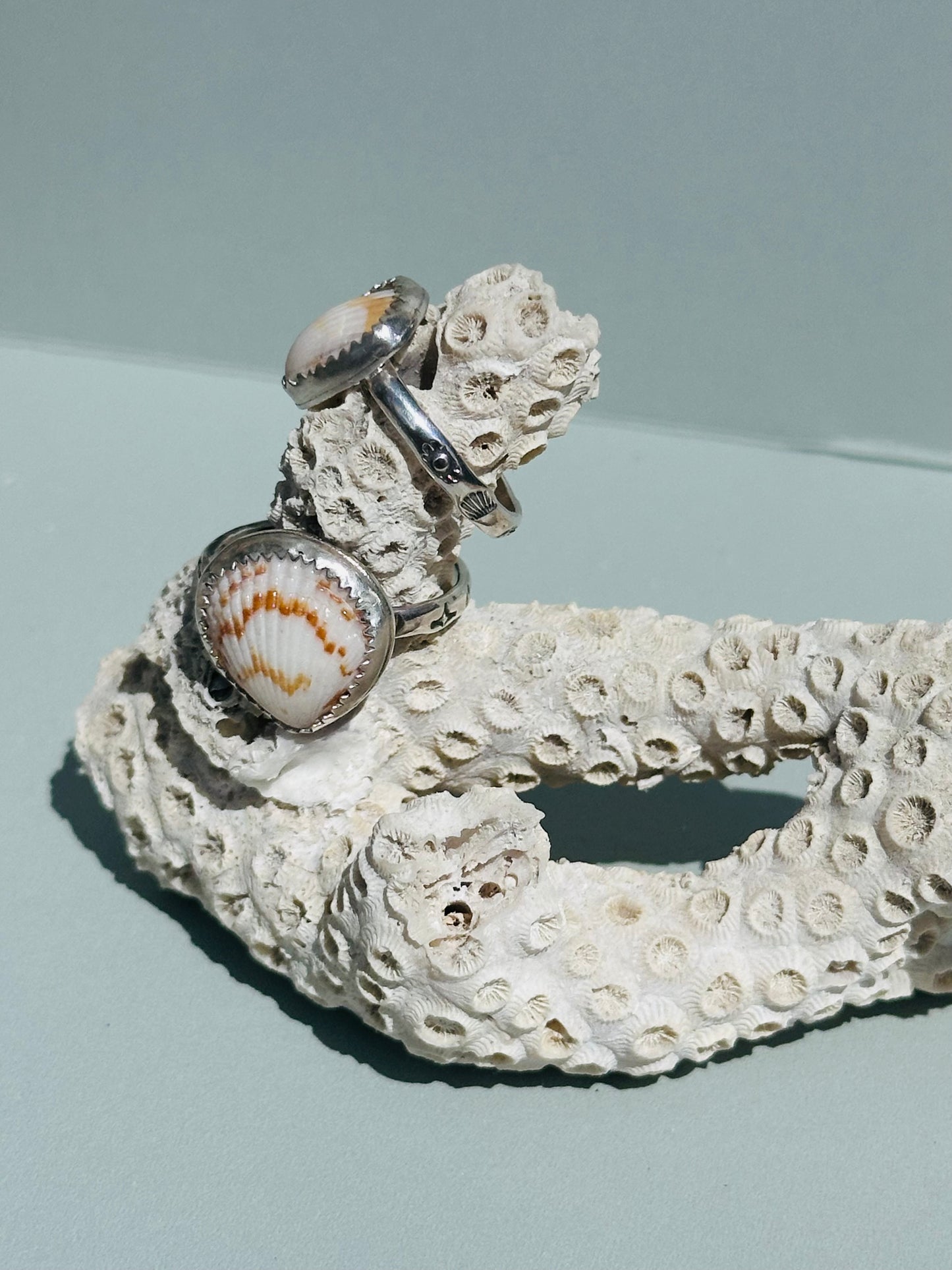Tiny Shell Silver Ring