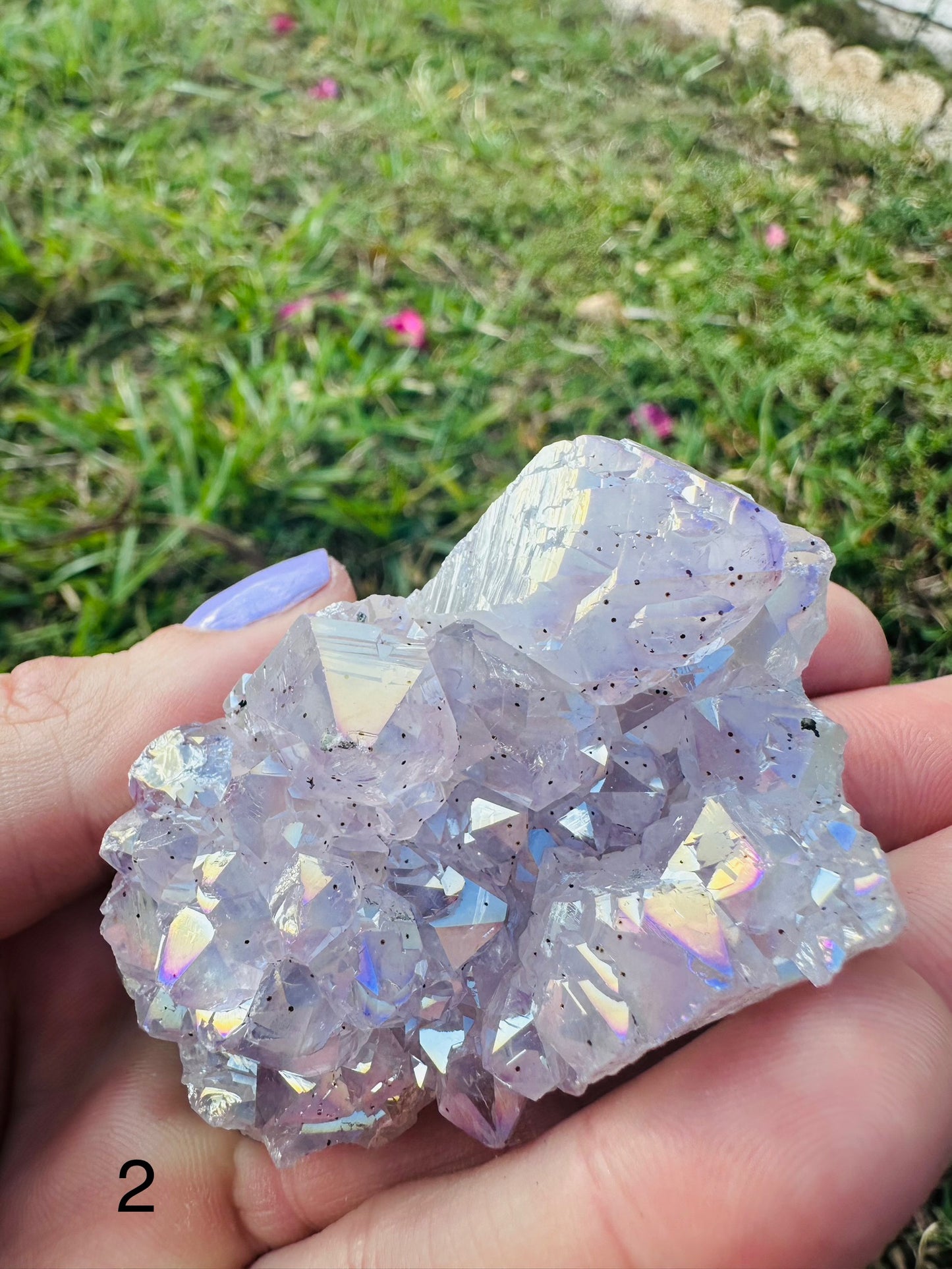Angel Aura Amethyst Clusters