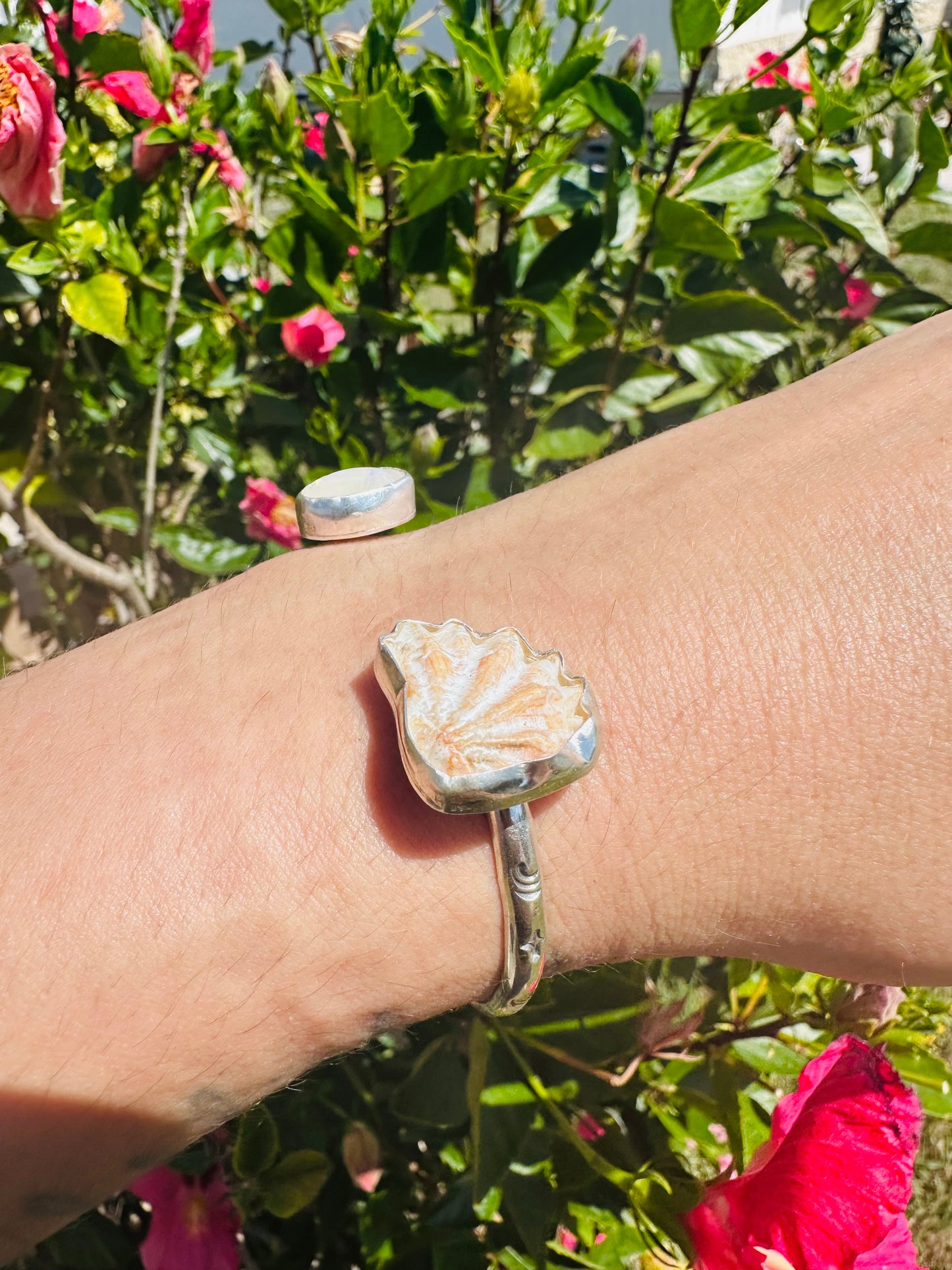 Moonstone and Cat Paw Shell Silver Cuff