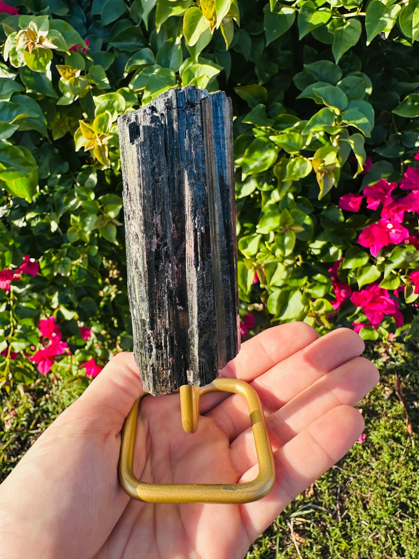 Black Tourmaline with Stand