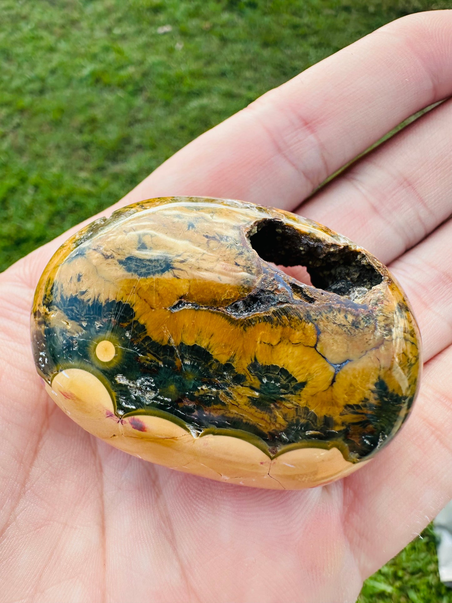 Kabamby Ocean Jasper Palm Stones