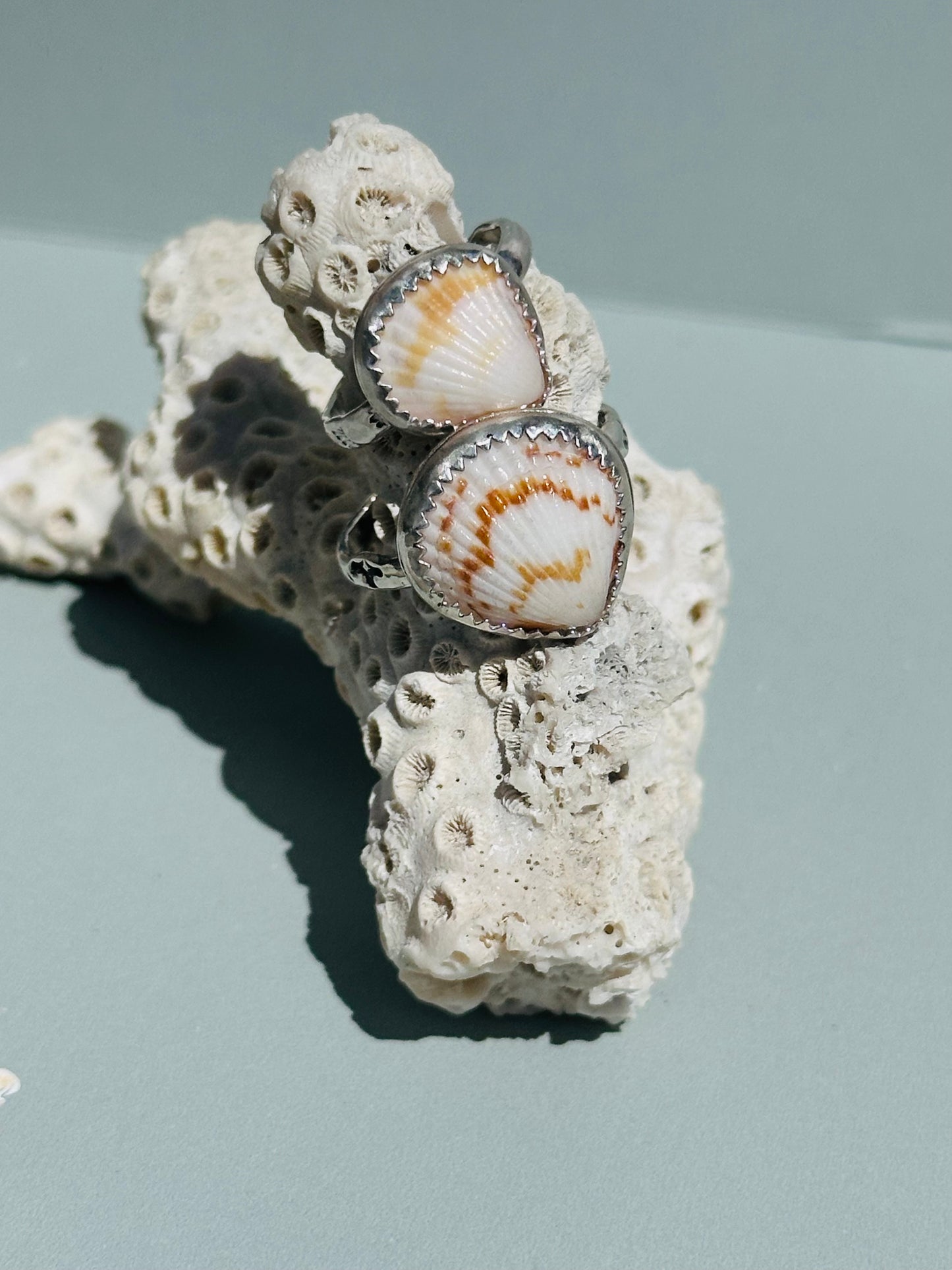Tiny Shell Silver Ring