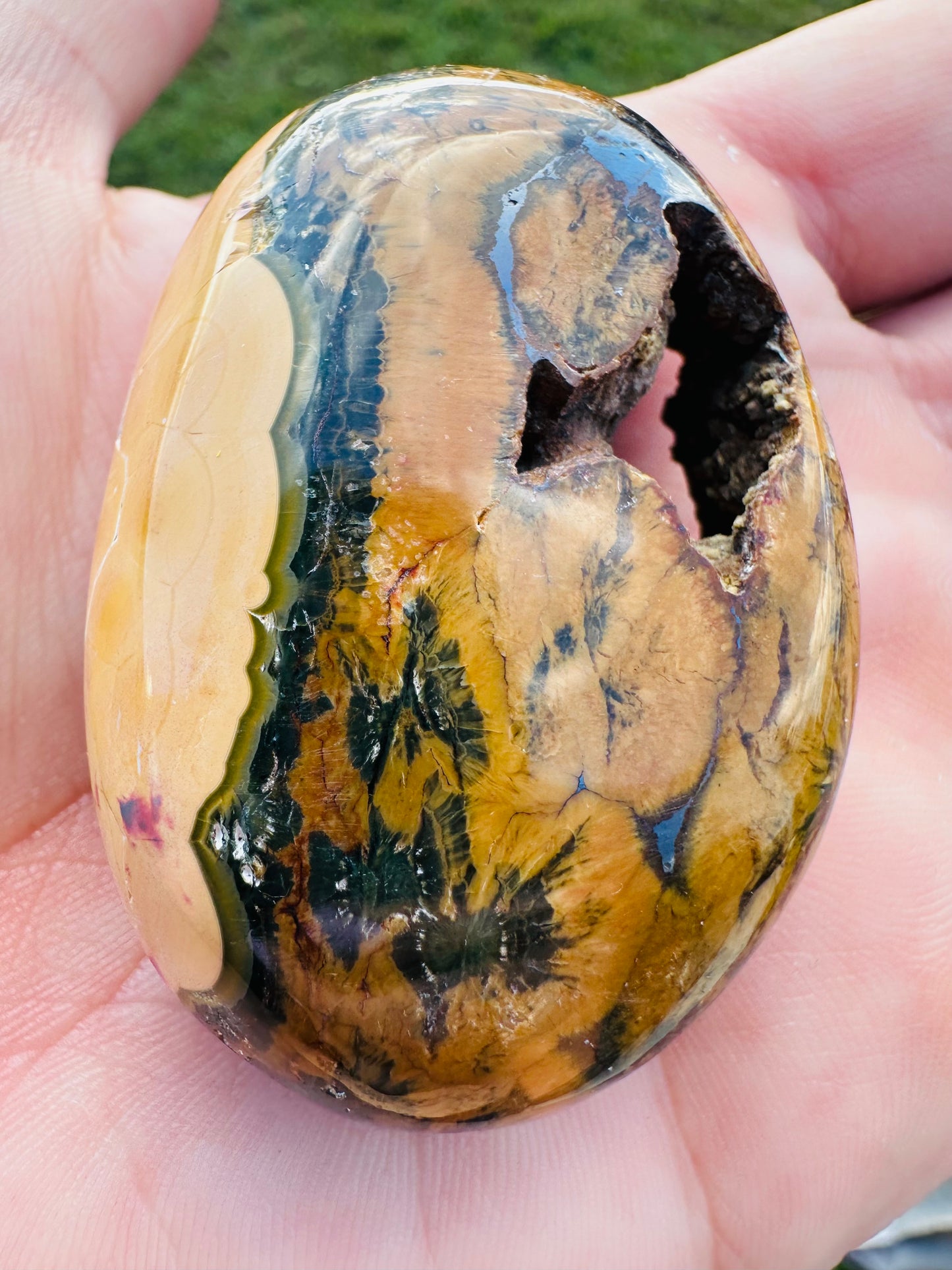 Kabamby Ocean Jasper Palm Stones