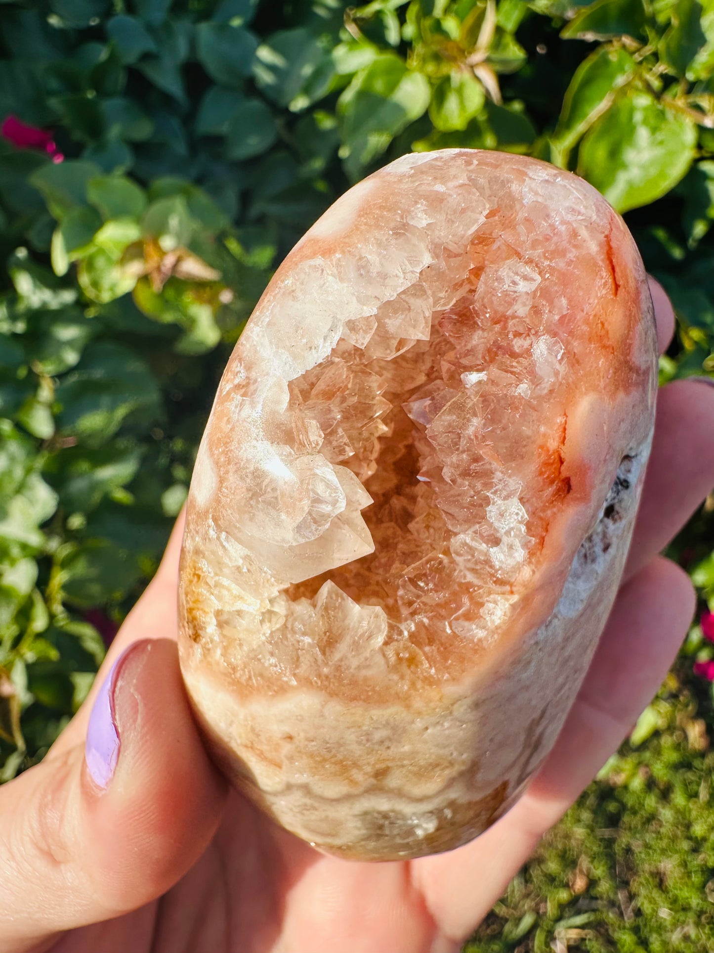 Pink Amethyst Druzy Freeforms