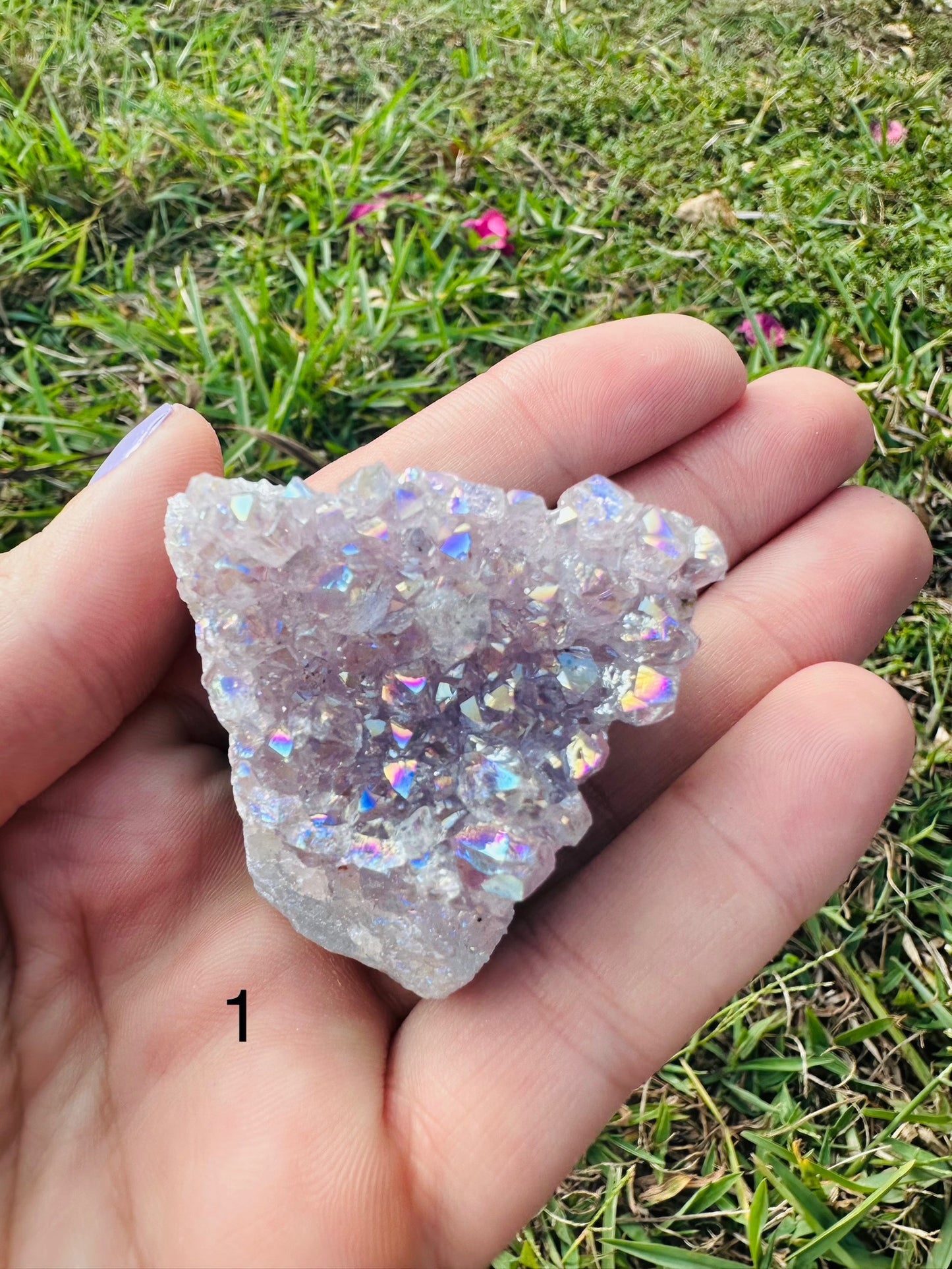 Angel Aura Amethyst Clusters