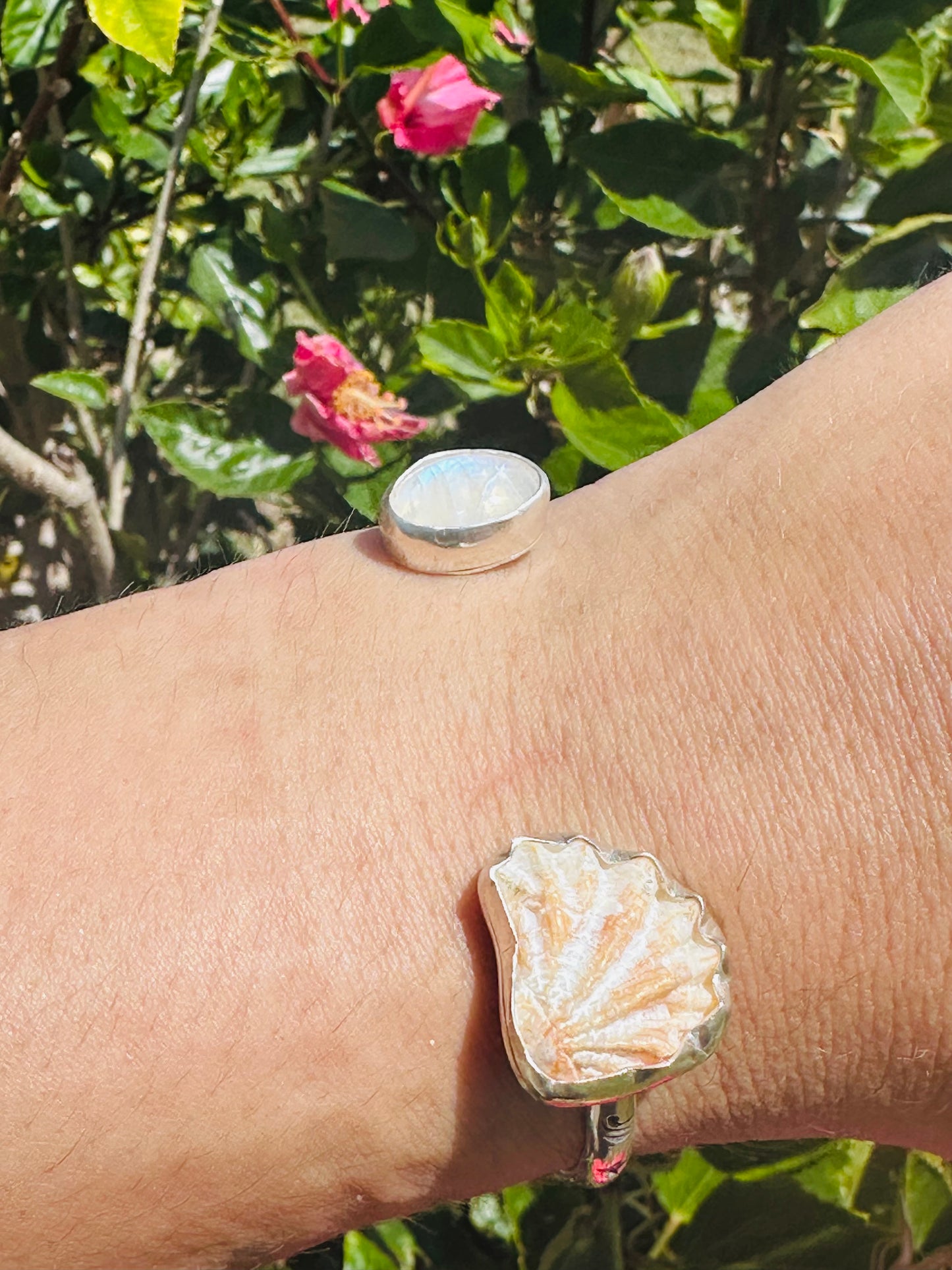 Moonstone and Cat Paw Shell Silver Cuff