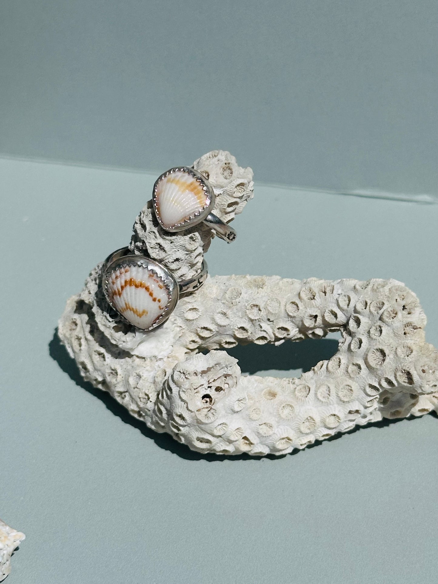Tiny Shell Silver Ring