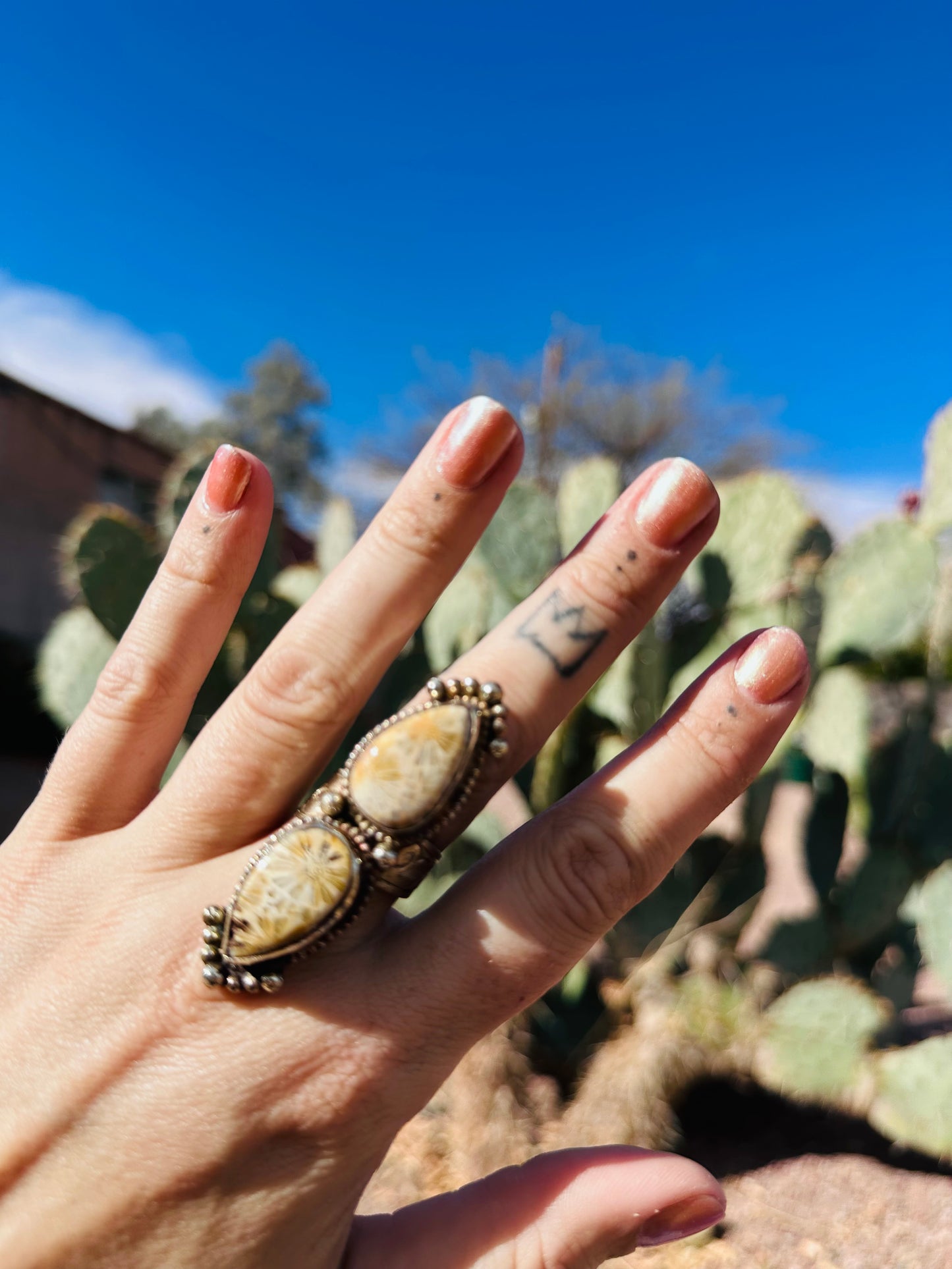 Fossilized Coral Crystal Ring