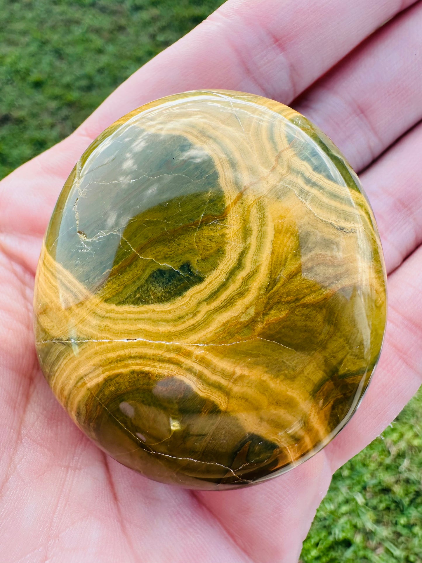 Kabamby Ocean Jasper Palm Stones